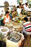 Quinping Market, Guangzhou